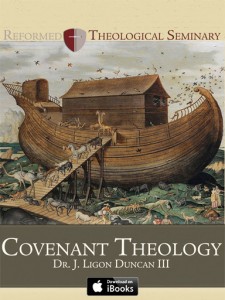 RTS/DE Releases The Covenant Theology Interactive Notebook ...